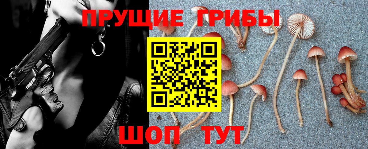 Псилоцибиновые грибы ЛСД Калуга