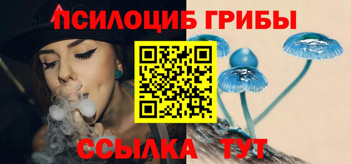 Калуга  Галлюциногенные грибы прущие грибы  Галлюциногенные грибы Psilocybe  Вход с VPN 